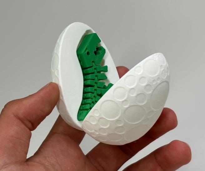 Flexi Rexi Egg and rexi