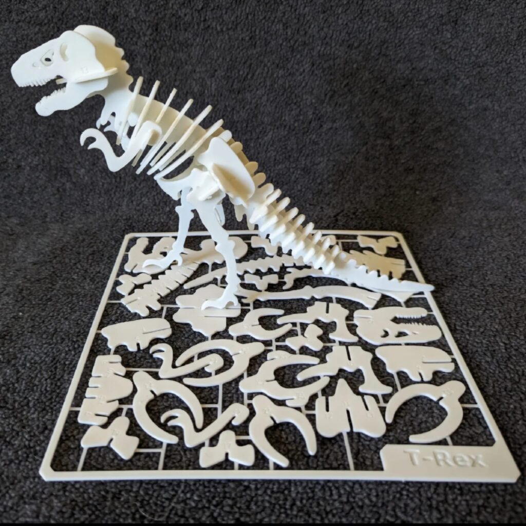 T-Rex Skeleton Kit Card